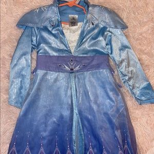 Genuine Disney Elsa Frozen II Dress